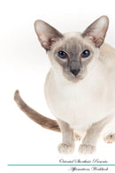 Oriental Shorthair Affirmations Workbook Oriental Shorthair Presents: Positive and Loving Affirmations Workbook. Includes: Mentoring Questions, Guidance, Supporting You.