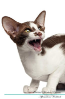 Oriental Shorthair Affirmations Workbook Oriental Shorthair Presents: Positive and Loving Affirmations Workbook. Includes: Mentoring Questions, Guidance, Supporting You.