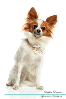 Papillon Affirmations Workbook Papillon Presents: Positive and Loving Affirmations Workbook. Includes: Mentoring Questions, Guidance, Supporting You.