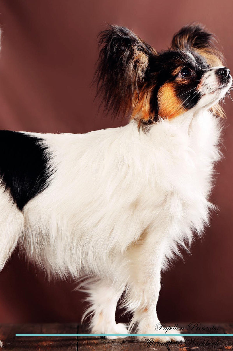 Papillon Affirmations Workbook Papillon Presents: Positive and Loving Affirmations Workbook. Includes: Mentoring Questions, Guidance, Supporting You.