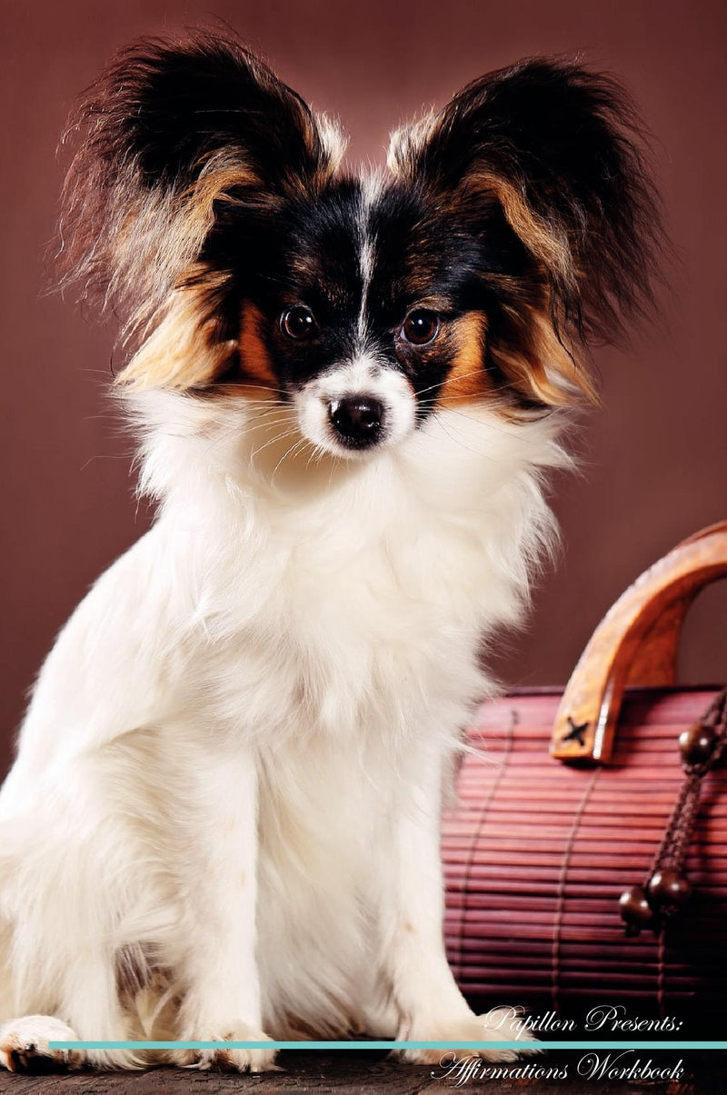 Papillon Affirmations Workbook Papillon Presents: Positive and Loving Affirmations Workbook. Includes: Mentoring Questions, Guidance, Supporting You.