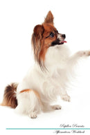 Papillon Affirmations Workbook Papillon Presents: Positive and Loving Affirmations Workbook. Includes: Mentoring Questions, Guidance, Supporting You.