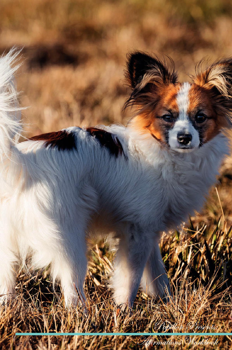 Papillon Affirmations Workbook Papillon Presents: Positive and Loving Affirmations Workbook. Includes: Mentoring Questions, Guidance, Supporting You.