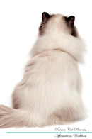 Persian Cat Affirmations Workbook Persian Cat Presents: Positive and Loving Affirmations Workbook. Includes: Mentoring Questions, Guidance, Supporting You.