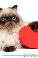 Persian Cat Affirmations Workbook Persian Cat Presents: Positive and Loving Affirmations Workbook. Includes: Mentoring Questions, Guidance, Supporting You.