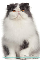 Persian Cat Affirmations Workbook Persian Cat Presents: Positive and Loving Affirmations Workbook. Includes: Mentoring Questions, Guidance, Supporting You.