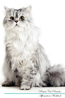 Persian Cat Affirmations Workbook Persian Cat Presents: Positive and Loving Affirmations Workbook. Includes: Mentoring Questions, Guidance, Supporting You.