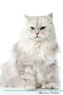 Persian Cat Affirmations Workbook Persian Cat Presents: Positive and Loving Affirmations Workbook. Includes: Mentoring Questions, Guidance, Supporting You.