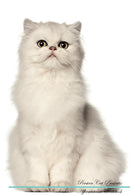 Persian Cat Affirmations Workbook Persian Cat Presents: Positive and Loving Affirmations Workbook. Includes: Mentoring Questions, Guidance, Supporting You.