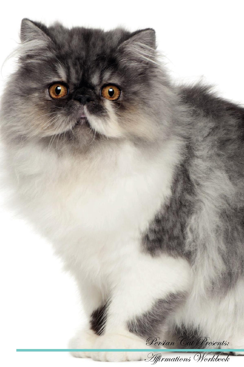 Persian Cat Affirmations Workbook Persian Cat Presents: Positive and Loving Affirmations Workbook. Includes: Mentoring Questions, Guidance, Supporting You.