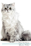 Persian Cat Affirmations Workbook Persian Cat Presents: Positive and Loving Affirmations Workbook. Includes: Mentoring Questions, Guidance, Supporting You.