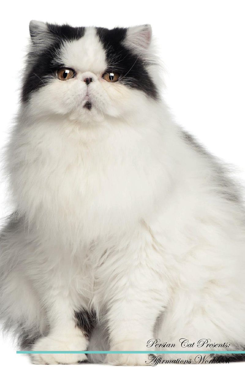 Persian Cat Affirmations Workbook Persian Cat Presents: Positive and Loving Affirmations Workbook. Includes: Mentoring Questions, Guidance, Supporting You.