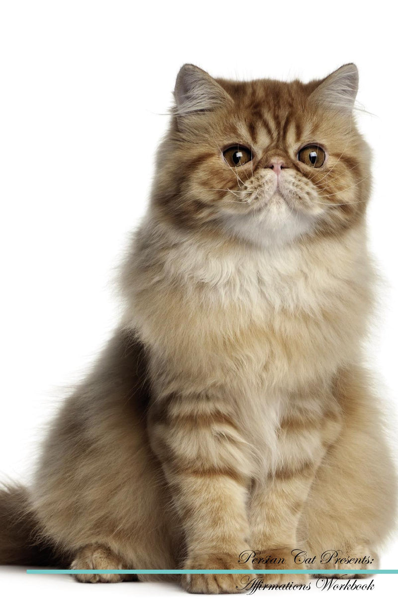 Persian Cat Affirmations Workbook Persian Cat Presents: Positive and Loving Affirmations Workbook. Includes: Mentoring Questions, Guidance, Supporting You.