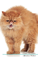 Persian Cat Affirmations Workbook Persian Cat Presents: Positive and Loving Affirmations Workbook. Includes: Mentoring Questions, Guidance, Supporting You.