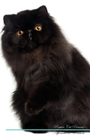 Persian Cat Affirmations Workbook Persian Cat Presents: Positive and Loving Affirmations Workbook. Includes: Mentoring Questions, Guidance, Supporting You.