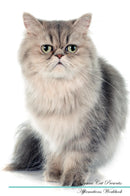 Persian Cat Affirmations Workbook Persian Cat Presents: Positive and Loving Affirmations Workbook. Includes: Mentoring Questions, Guidance, Supporting You.
