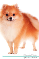 Pomeranian Affirmations Workbook Pomeranian Presents: Positive and Loving Affirmations Workbook. Includes: Mentoring Questions, Guidance, Supporting You.