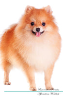 Pomeranian Affirmations Workbook Pomeranian Presents: Positive and Loving Affirmations Workbook. Includes: Mentoring Questions, Guidance, Supporting You.