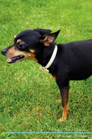 Prague Ratter Affirmations Workbook Prague Ratter Presents: Positive and Loving Affirmations Workbook. Includes: Mentoring Questions, Guidance, Supporting You.