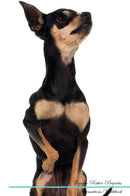 Prague Ratter Affirmations Workbook Prague Ratter Presents: Positive and Loving Affirmations Workbook. Includes: Mentoring Questions, Guidance, Supporting You.