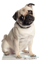 Pug Affirmations Workbook Pug Presents: Positive and Loving Affirmations Workbook. Includes: Mentoring Questions, Guidance, Supporting You.