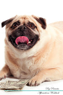 Pug Affirmations Workbook Pug Presents: Positive and Loving Affirmations Workbook. Includes: Mentoring Questions, Guidance, Supporting You.