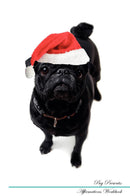 Pug Affirmations Workbook Pug Presents: Positive and Loving Affirmations Workbook. Includes: Mentoring Questions, Guidance, Supporting You.