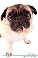 Pug Affirmations Workbook Pug Presents: Positive and Loving Affirmations Workbook. Includes: Mentoring Questions, Guidance, Supporting You.