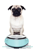 Pug Affirmations Workbook Pug Presents: Positive and Loving Affirmations Workbook. Includes: Mentoring Questions, Guidance, Supporting You.