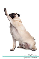 Pug Affirmations Workbook Pug Presents: Positive and Loving Affirmations Workbook. Includes: Mentoring Questions, Guidance, Supporting You.