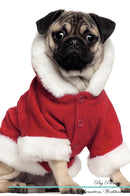 Pug Affirmations Workbook Pug Presents: Positive and Loving Affirmations Workbook. Includes: Mentoring Questions, Guidance, Supporting You.