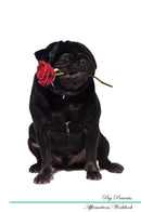Pug Affirmations Workbook Pug Presents: Positive and Loving Affirmations Workbook. Includes: Mentoring Questions, Guidance, Supporting You.