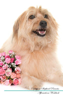 Pyrenean Shepherd Affirmations Workbook Pyrenean Shepherd Presents: Positive and Loving Affirmations Workbook. Includes: Mentoring Questions, Guidance, Supporting You.