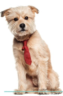 Pyrenean Shepherd Affirmations Workbook Pyrenean Shepherd Presents: Positive and Loving Affirmations Workbook. Includes: Mentoring Questions, Guidance, Supporting You.