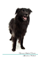 Pyrenean Shepherd Affirmations Workbook Pyrenean Shepherd Presents: Positive and Loving Affirmations Workbook. Includes: Mentoring Questions, Guidance, Supporting You.