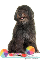 Pyrenean Shepherd Affirmations Workbook Pyrenean Shepherd Presents: Positive and Loving Affirmations Workbook. Includes: Mentoring Questions, Guidance, Supporting You.