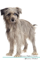 Pyrenean Shepherd Affirmations Workbook Pyrenean Shepherd Presents: Positive and Loving Affirmations Workbook. Includes: Mentoring Questions, Guidance, Supporting You.