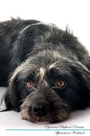 Pyrenean Shepherd Affirmations Workbook Pyrenean Shepherd Presents: Positive and Loving Affirmations Workbook. Includes: Mentoring Questions, Guidance, Supporting You.