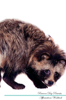 Raccoon Dog Affirmations Workbook Raccoon Dog Presents: Positive and Loving Affirmations Workbook. Includes: Mentoring Questions, Guidance, Supporting You.