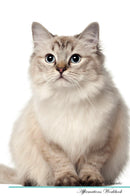 Ragdoll Cat Affirmations Workbook Ragdoll Cat Presents: Positive and Loving Affirmations Workbook. Includes: Mentoring Questions, Guidance, Supporting You.