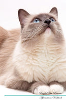 Ragdoll Cat Affirmations Workbook Ragdoll Cat Presents: Positive and Loving Affirmations Workbook. Includes: Mentoring Questions, Guidance, Supporting You.