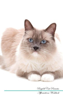 Ragdoll Cat Affirmations Workbook Ragdoll Cat Presents: Positive and Loving Affirmations Workbook. Includes: Mentoring Questions, Guidance, Supporting You.