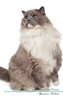 Ragdoll Cat Affirmations Workbook Ragdoll Cat Presents: Positive and Loving Affirmations Workbook. Includes: Mentoring Questions, Guidance, Supporting You.