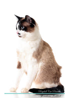 Ragdoll Cat Affirmations Workbook Ragdoll Cat Presents: Positive and Loving Affirmations Workbook. Includes: Mentoring Questions, Guidance, Supporting You.