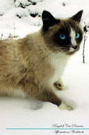 Ragdoll Cat Affirmations Workbook Ragdoll Cat Presents: Positive and Loving Affirmations Workbook. Includes: Mentoring Questions, Guidance, Supporting You.