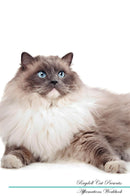 Ragdoll Cat Affirmations Workbook Ragdoll Cat Presents: Positive and Loving Affirmations Workbook. Includes: Mentoring Questions, Guidance, Supporting You.