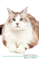 Ragdoll Cat Affirmations Workbook Ragdoll Cat Presents: Positive and Loving Affirmations Workbook. Includes: Mentoring Questions, Guidance, Supporting You.