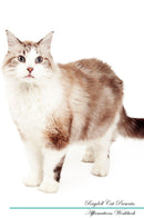 Ragdoll Cat Affirmations Workbook Ragdoll Cat Presents: Positive and Loving Affirmations Workbook. Includes: Mentoring Questions, Guidance, Supporting You.