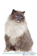Ragdoll Cat Affirmations Workbook Ragdoll Cat Presents: Positive and Loving Affirmations Workbook. Includes: Mentoring Questions, Guidance, Supporting You.