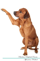 Rhodesian Ridgeback Affirmations Workbook Rhodesian Ridgeback Presents: Positive and Loving Affirmations Workbook. Includes: Mentoring Questions, Guidance, Supporting You.